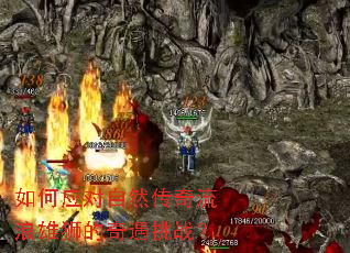 ���Ӧ����Ȼ����������ʨ��������ս��