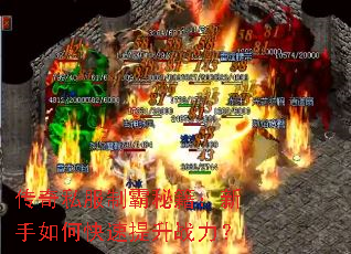 ����˽���ư��ؼ���������ο�������ս����