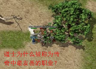 ��ʿΪʲô����Ϊ�����������Ƶ�ְҵ��