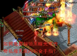 �����ѽ����ڰ����괫��˽�������ڹ�����ָ��