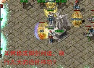 ����޳������ʵ������о���ľ����񹦣�