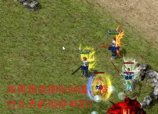 ����޳������ʵ������о���ľ����񹦣�