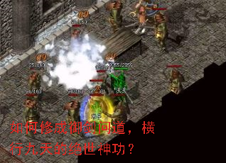 ����޳������ʵ������о���ľ����񹦣�