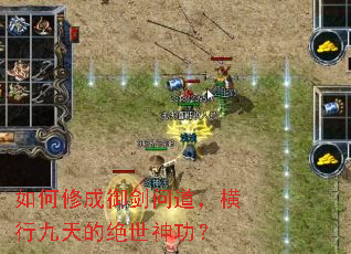 ����޳������ʵ������о���ľ����񹦣�