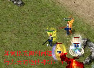 ����޳������ʵ������о���ľ����񹦣�