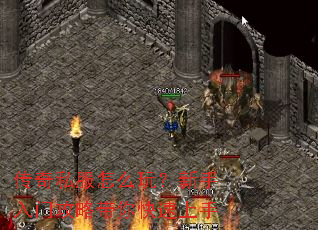 ����˽����ô�棿�������Ź��Դ����������