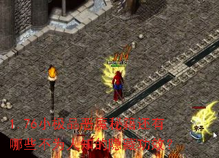 1.76С��Ʒ��ħ�ؼ�������Щ��Ϊ��֪�����ع�Ч��