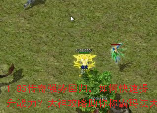 1.85����ǿ�ƻع飬��ο�������ս��������������ư��귨��½