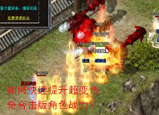 ��ο����������䴫��ϻ����ɫս����