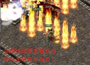 ��ο����������䴫��ϻ����ɫս����