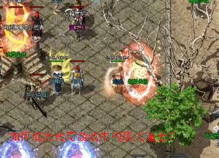 ��γ�Ϊ������Ϸ�еĶ����ʿ��