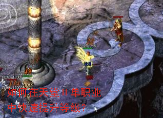 如何在天堂Ⅱ单职业中快速提升等级? 如何在天堂Ⅱ单职业中快速提升等级?