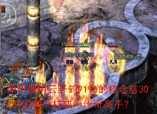 如何像闲云野鹤9196的穆念慈302300249一样成为传奇高手? 如何像闲云野鹤9196的穆念慈302300249一样成为传奇高手?