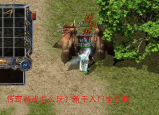 ������Ϸ��ô�棿��������ȫ����