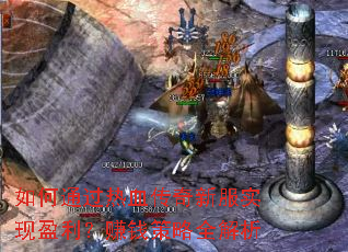 ���ͨ����Ѫ�����·�ʵ��ӯ����׬Ǯ����ȫ����