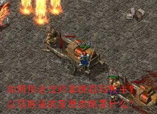 ������Ϸ�ʦ�����������������ʤǿ����������ʲô��