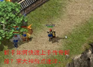 新手如何快速上手传奇新服?求大神指点迷津。 新手如何快速上手传奇新服?求大神指点迷津。