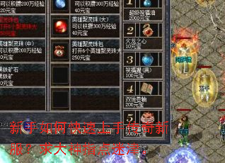 新手如何快速上手传奇新服?求大神指点迷津。 新手如何快速上手传奇新服?求大神指点迷津。