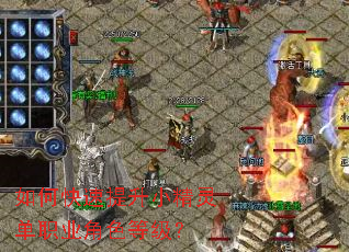 如何快速提升小精灵单职业角色等级? 如何快速提升小精灵单职业角色等级?
