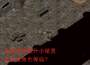 如何快速提升小精灵单职业角色等级? 如何快速提升小精灵单职业角色等级?