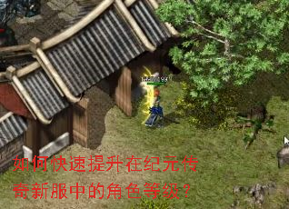 如何快速提升在纪元传奇新服中的角色等级? 如何快速提升在纪元传奇新服中的角色等级?