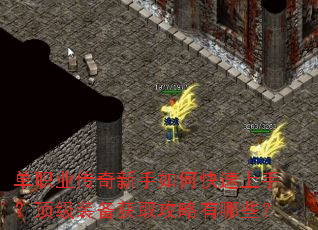 单职业传奇新手如何快速上手?顶级装备获取攻略有哪些? 单职业传奇新手如何快速上手?顶级装备获取攻略有哪些?