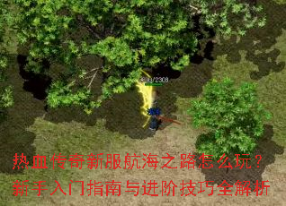 热血传奇新服航海之路怎么玩?新手入门指南与进阶技巧全解析 热血传奇新服航海之路怎么玩?新手入门指南与进阶技巧全解析