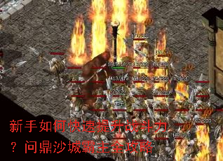 新手如何快速提升战斗力?问鼎沙城霸主全攻略 新手如何快速提升战斗力?问鼎沙城霸主全攻略
