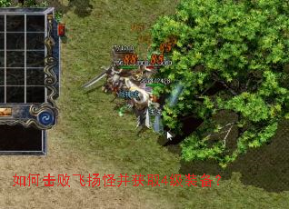 如何击败飞扬怪并获取4级装备? 如何击败飞扬怪并获取4级装备?