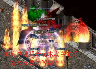 如何快速提升龙木岛主的第三岛7266战力等级? 如何快速提升龙木岛主的第三岛7266战力等级?