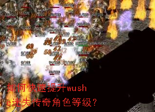 如何快速提升wushe迷失传奇角色等级? 如何快速提升wushe迷失传奇角色等级?