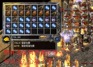 想知道如何快速获得神装吗?心动了吗? 想知道如何快速获得神装吗?心动了吗?