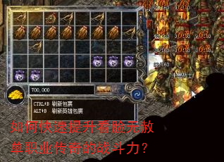 如何快速提升看脸无赦单职业传奇的战斗力? 如何快速提升看脸无赦单职业传奇的战斗力?