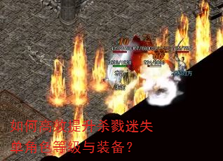 ��θ�Ч����ɱ¾��ʧ����ɫ�ȼ���װ����