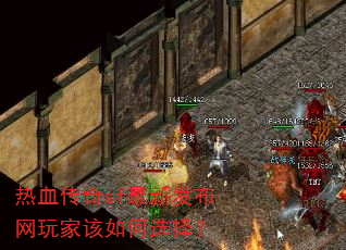 ��Ѫ����sf���·�������Ҹ����ѡ��