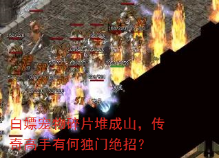 ���γ�����Ƭ�ѳ�ɽ����������кζ��ž��У�