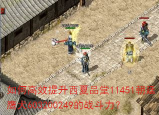 ��θ�Ч��������Ʒ��11451��͢ӥȮ603200249��ս������