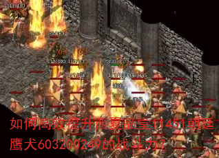 ��θ�Ч��������Ʒ��11451��͢ӥȮ603200249��ս������