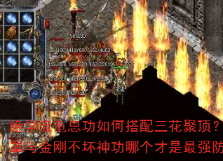 绝学流龟息功如何搭配三花聚顶?金钟罩与金刚不坏神功哪个才是最强防御? 绝学流龟息功如何搭配三花聚顶?金钟罩与金刚不坏神功哪个才是最强防御?