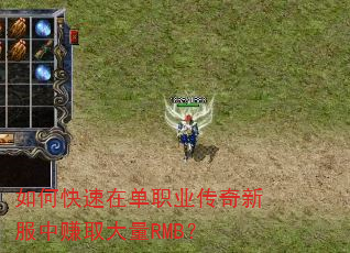 如何快速在单职业传奇新服中赚取大量RMB? 如何快速在单职业传奇新服中赚取大量RMB?