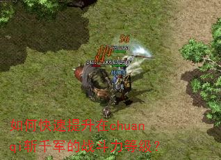 如何快速提升在chuanqi斩千军的战斗力等级? 如何快速提升在chuanqi斩千军的战斗力等级?
