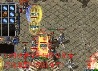 如何快速提升悟空传弑神杀佛单职业的战斗力? 如何快速提升悟空传弑神杀佛单职业的战斗力?