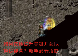 如何快速提升等级并获取顶级装备?新手必看攻略 如何快速提升等级并获取顶级装备?新手必看攻略