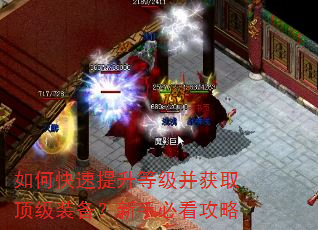 如何快速提升等级并获取顶级装备?新手必看攻略 如何快速提升等级并获取顶级装备?新手必看攻略