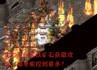 ��Ѫ���������ʯ��ȡ���ԣ��������ڵ���ࣿ