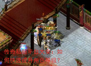 传奇私服平台大全:如何快速提升角色等级? 传奇私服平台大全:如何快速提升角色等级?