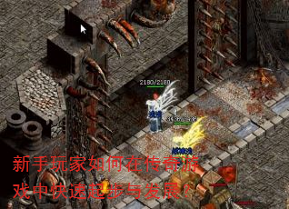 �����������ڴ�����Ϸ�п������뷢չ��