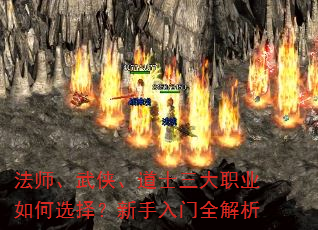 ��ʦ����������ʿ����ְҵ���ѡ����������ȫ����
