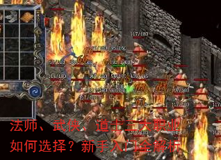 ��ʦ����������ʿ����ְҵ���ѡ����������ȫ����