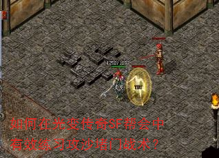 如何在光变传奇SF帮会中有效练习攻沙堵门战术? 如何在光变传奇SF帮会中有效练习攻沙堵门战术?